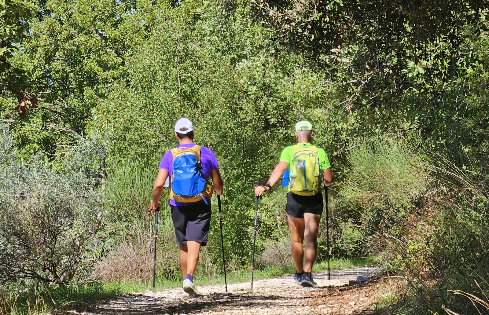 Franziskuspilger auf dem Weg